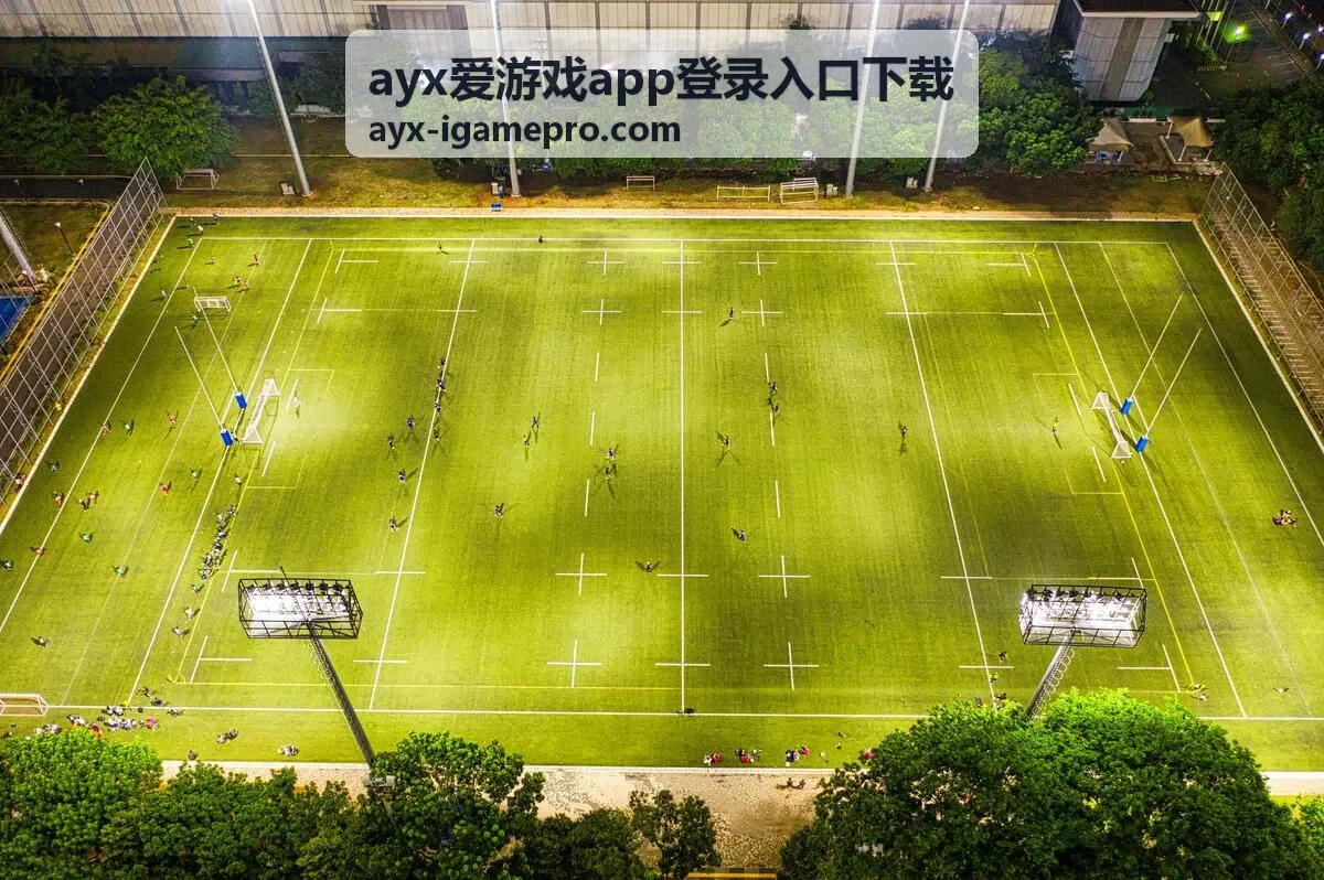 ayx爱游戏app登录入口下载案例二